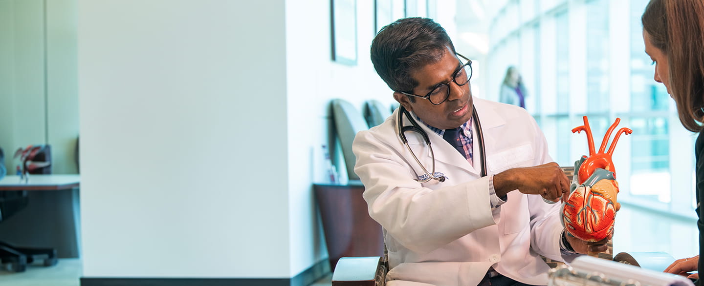 doctor and heart model