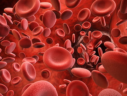 Red blood cells.